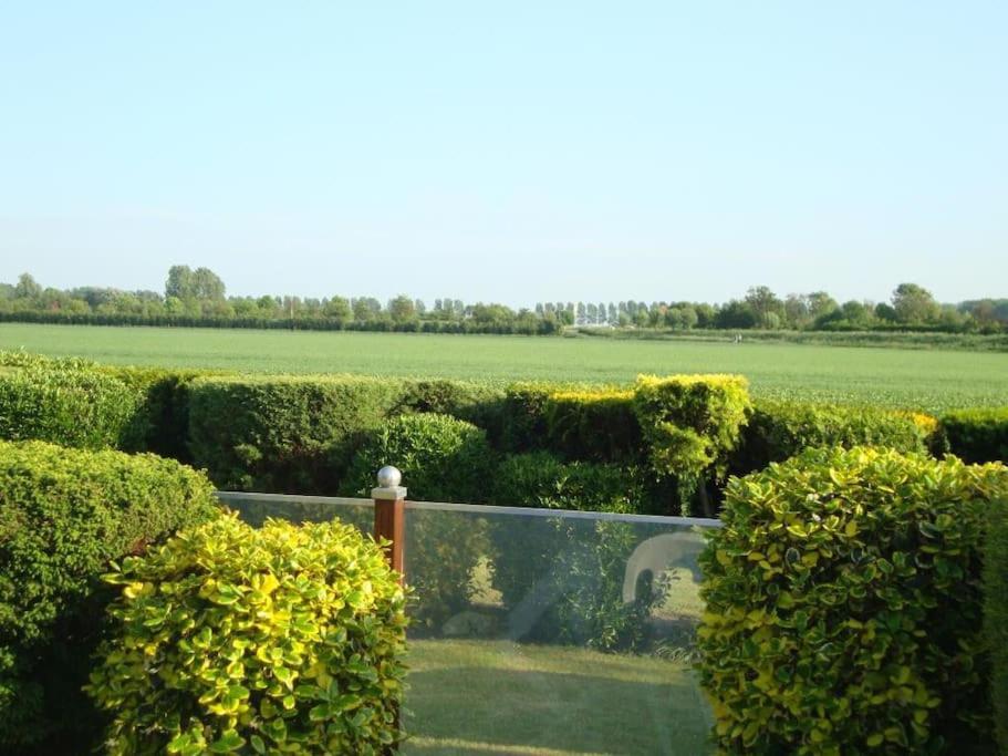 Heggerank 19a* * Nieuwvliet